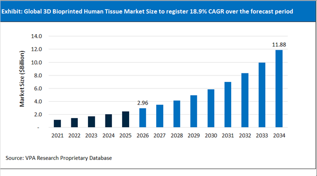3D Bioprinted Human Tissue Market Size Outlook 2021 to 2034