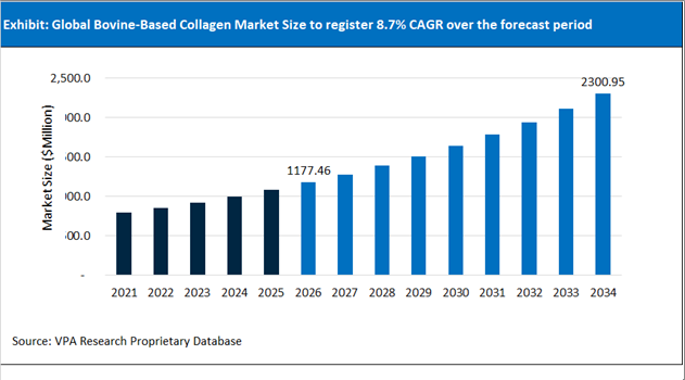 Bovine Based Collagen Market Size Outlook 2021 to 2034