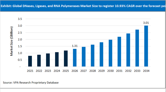 DNases, Ligases, and RNA Polymerases Market Size Outlook 2021 to 2034