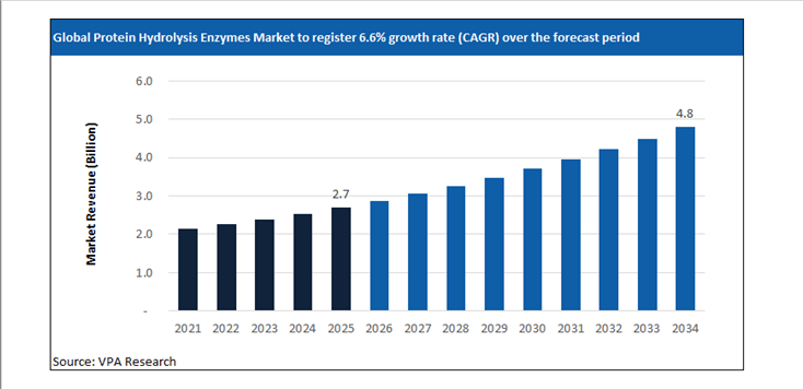 protein hydrolysis enzymes market size forecast 2021 to 2034